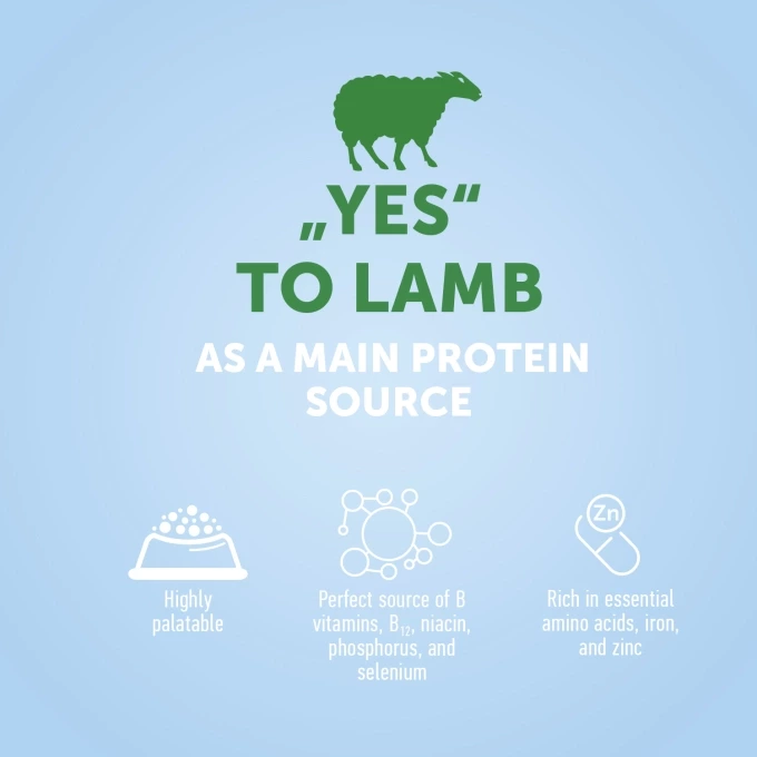 vc_1_EN_ESHOP_CARDS_YES_TO_LAMB_1500X1500PX_OPEN-2_2023_03_28680_680resizebg