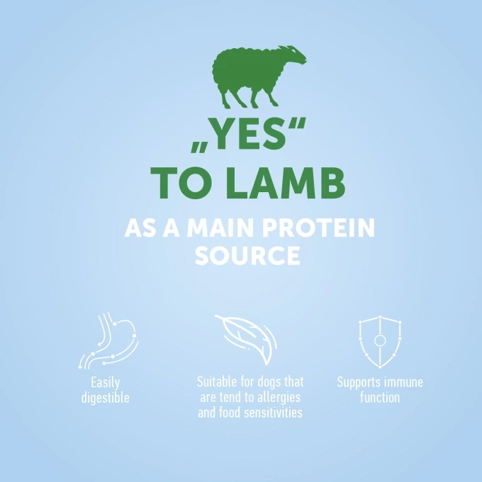 vc_1_EN_ESHOP_CARDS_YES_TO_LAMB_1500X1500PX_OPEN-2_2_2023_03_28680_680resizebg