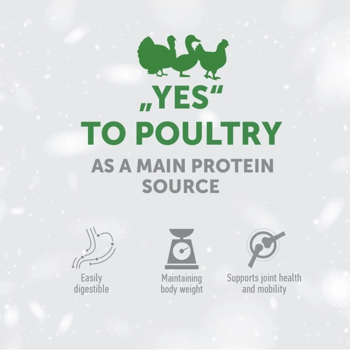 vc_1_EN_ESHOP_CARDS_YES_TO_POULTRY_1500X1500PX_1_2023_03_28680_680resizebg