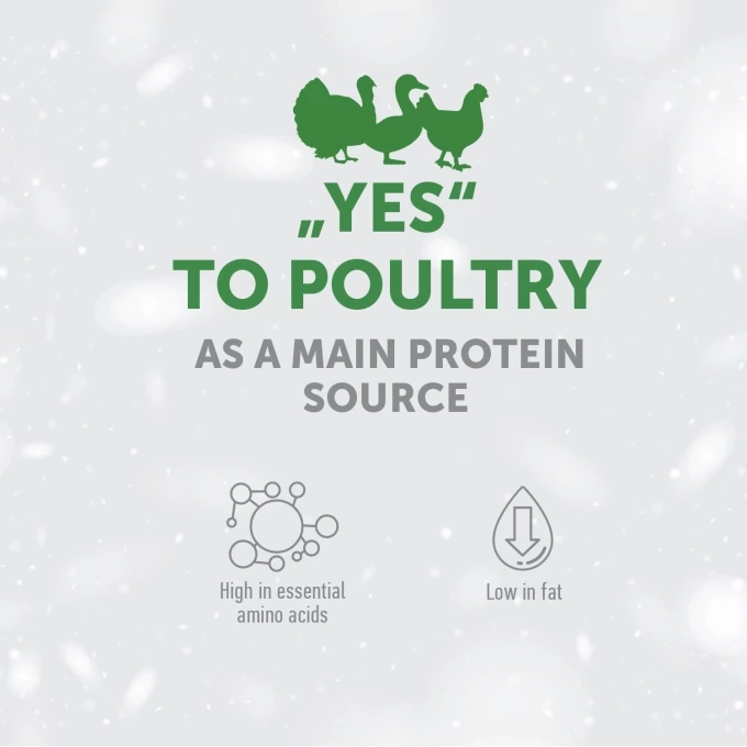 vc_1_EN_ESHOP_CARDS_YES_TO_POULTRY_1500X1500PX_2_2023_03_28680_680resizebg