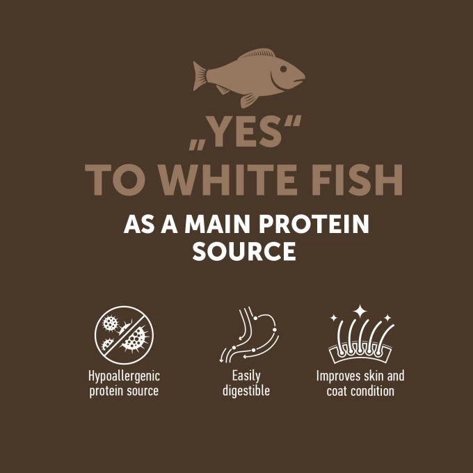 vc_1_EN_ESHOP_CARDS_YES_TO_WHITE_FISH_1500X1500PX_1_2023_03_28680_680resizebg