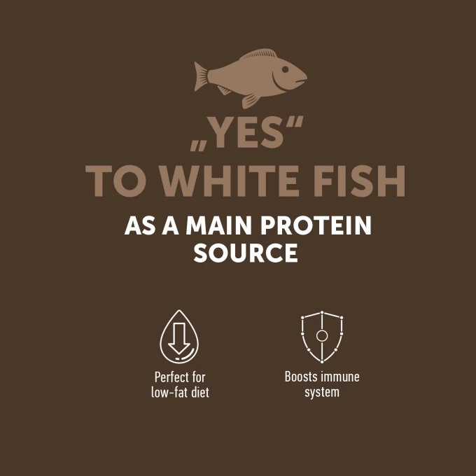 vc_1_EN_ESHOP_CARDS_YES_TO_WHITE_FISH_1500X1500PX_2_2023_03_28680_680resizebg