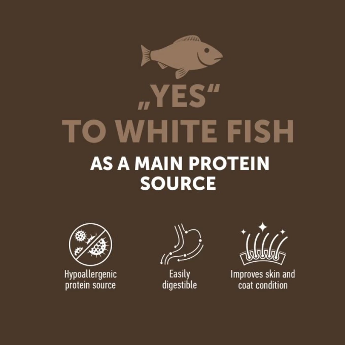 vc_3_EN_ESHOP_CARDS_YES_TO_WHITE_FISH_1500X1500PX_1_2023_03_28680_680resizebg