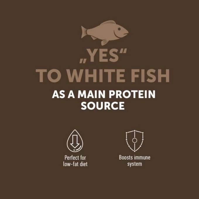 vc_3_EN_ESHOP_CARDS_YES_TO_WHITE_FISH_1500X1500PX_2_2023_03_28680_680resizebg