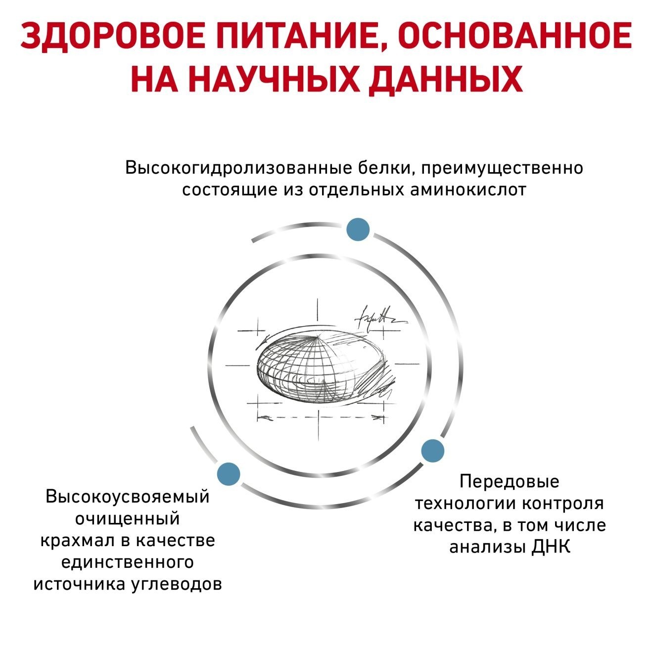 RU_271920_kibble_481