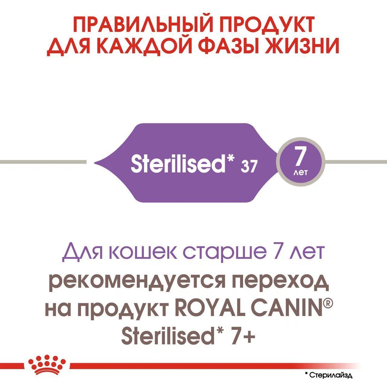 0775693c-017e-4348-b2e1-4804100e43b0