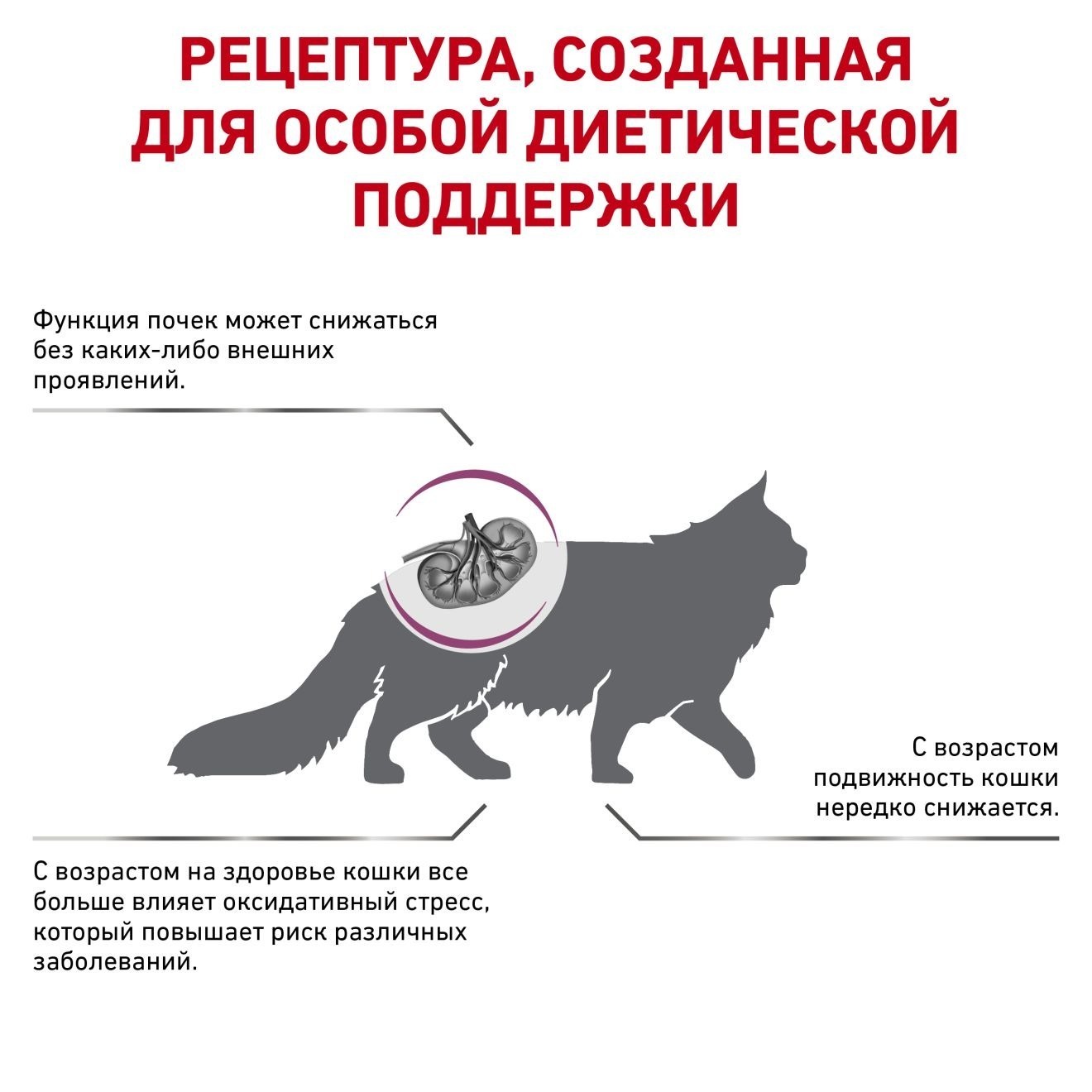 ru-482107-other-4904 (4)