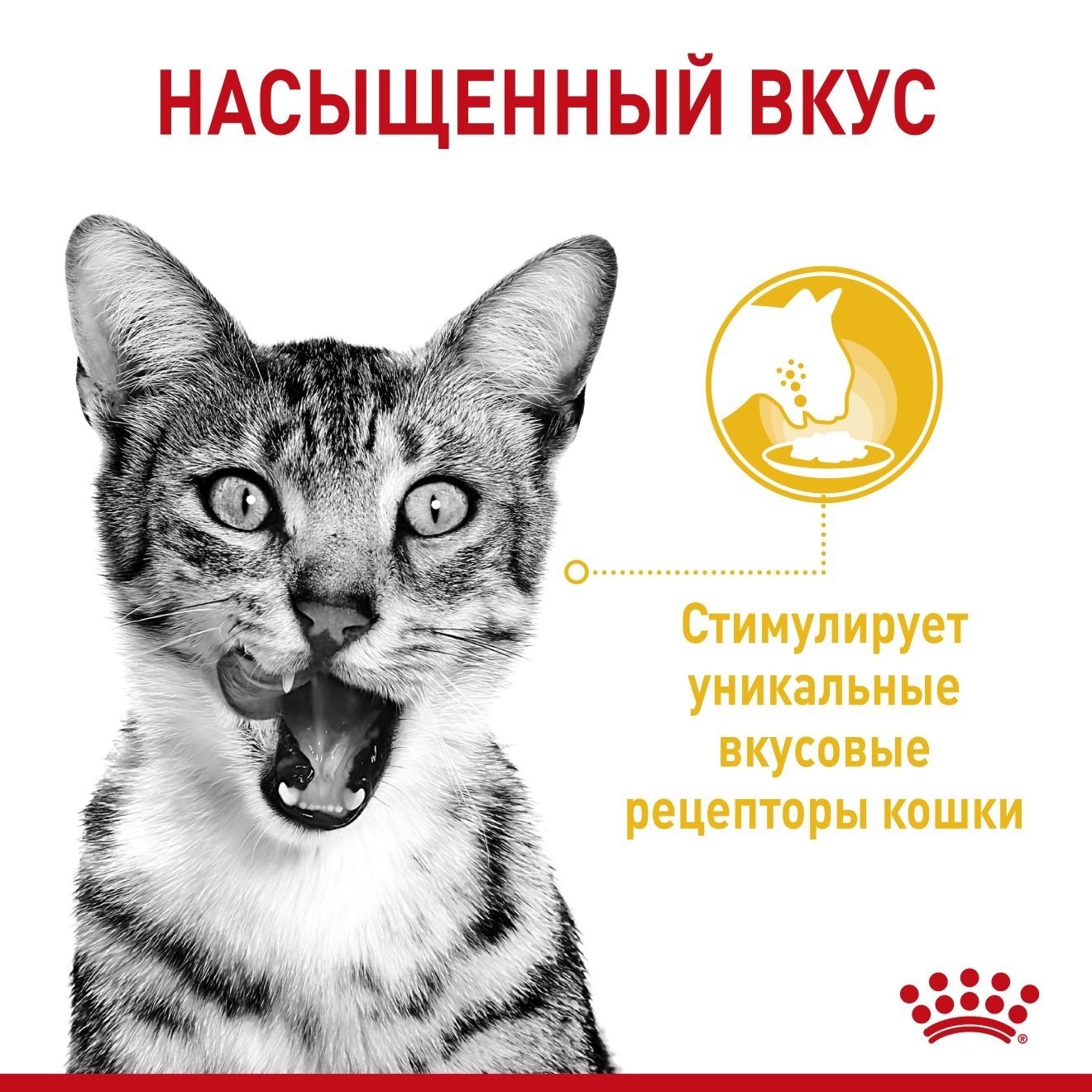 RU_738983_other_7468