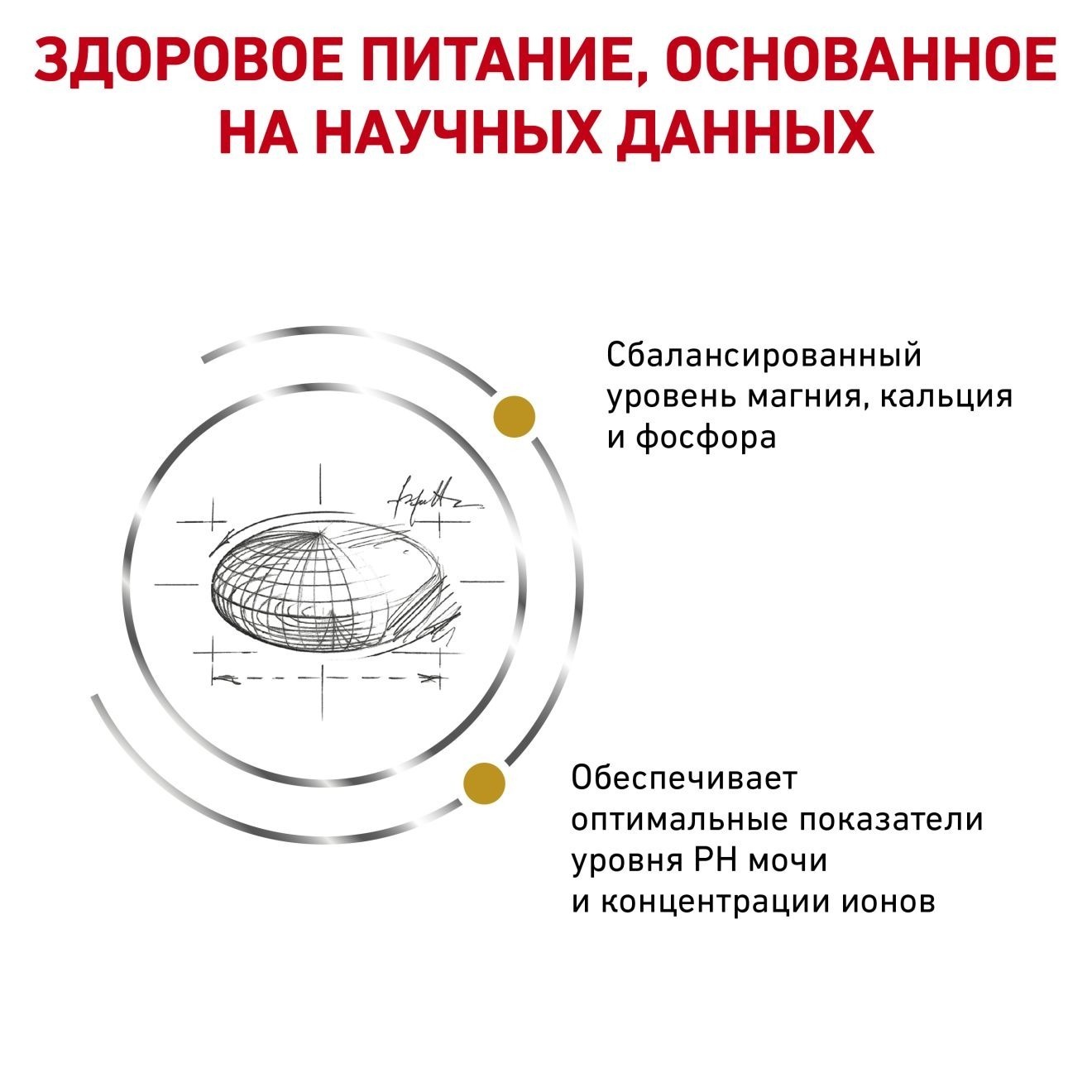 RU_271007_kibble_481