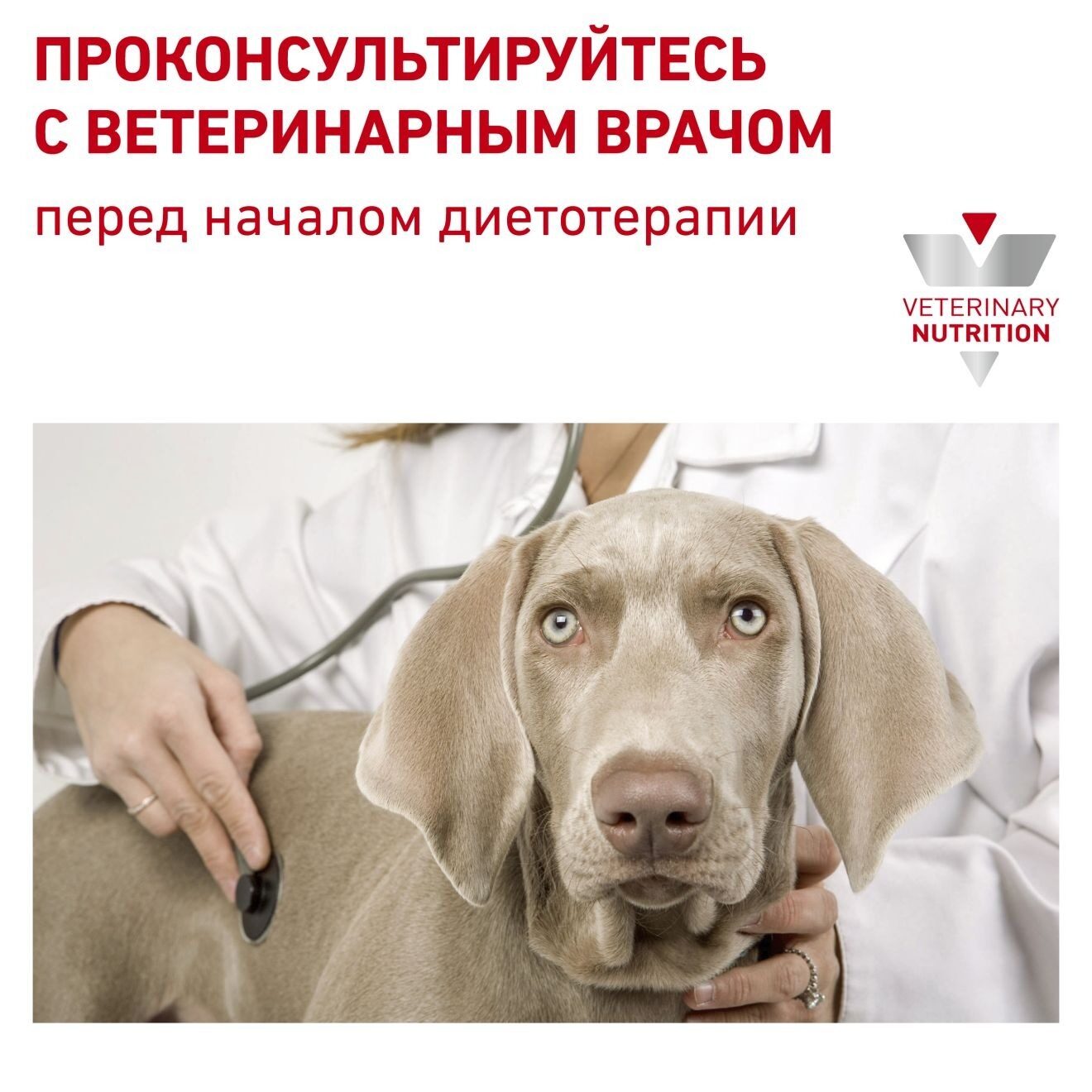 ru-268006-hero-48145
