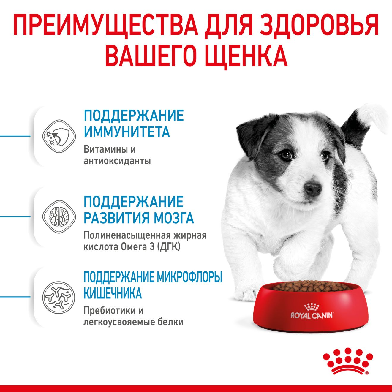 rc-spt-dry-minipuppy (1)