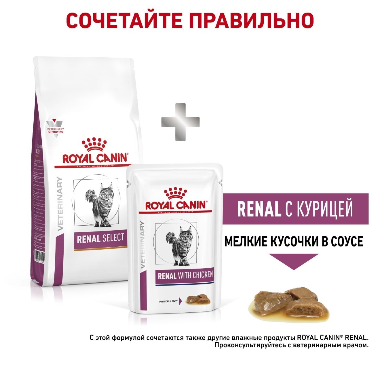 ru-481994-other-4912 (2)