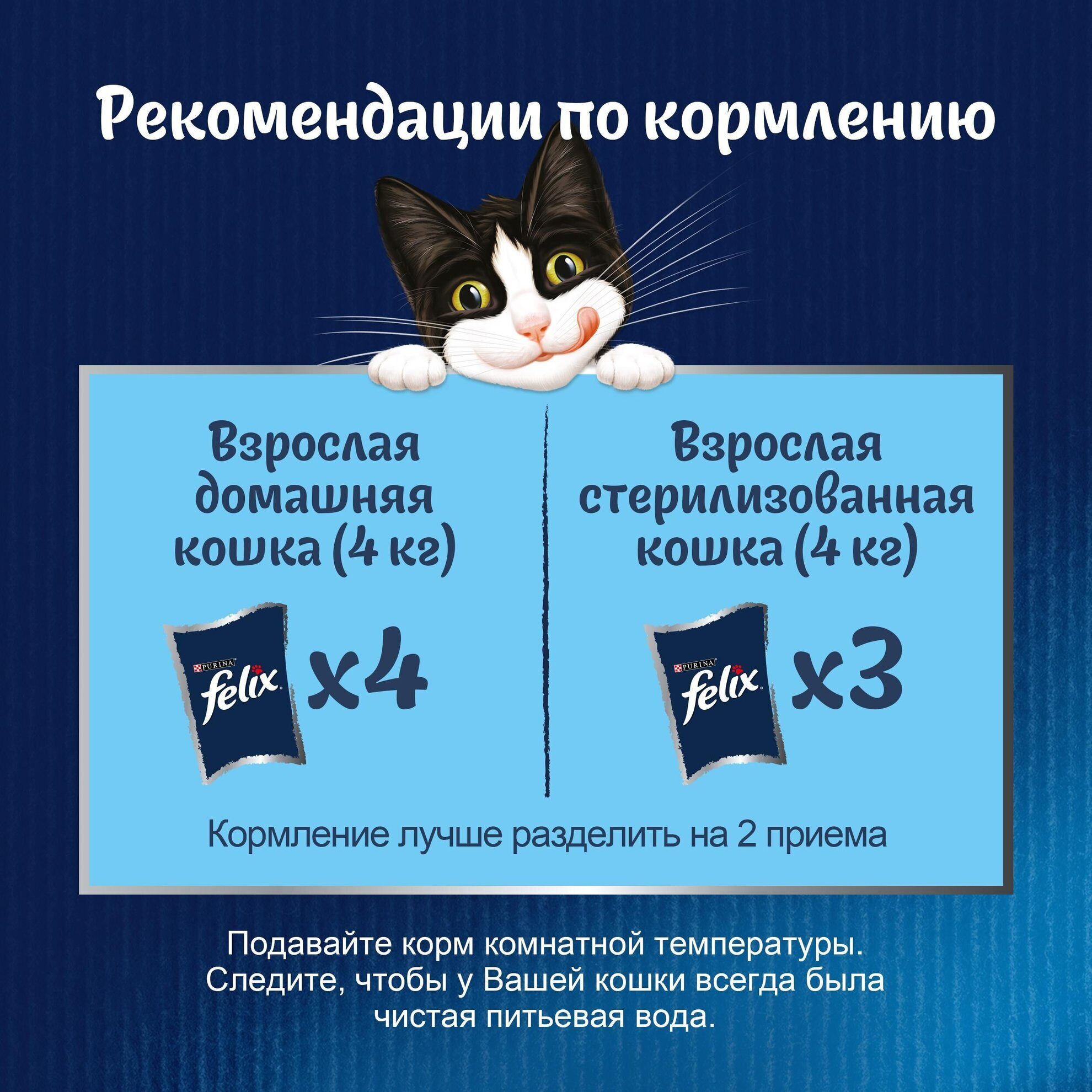 d9e984ec-1ec2-11ed-905f-7ad7f8767afa_rt6dnzzgadbldzwg