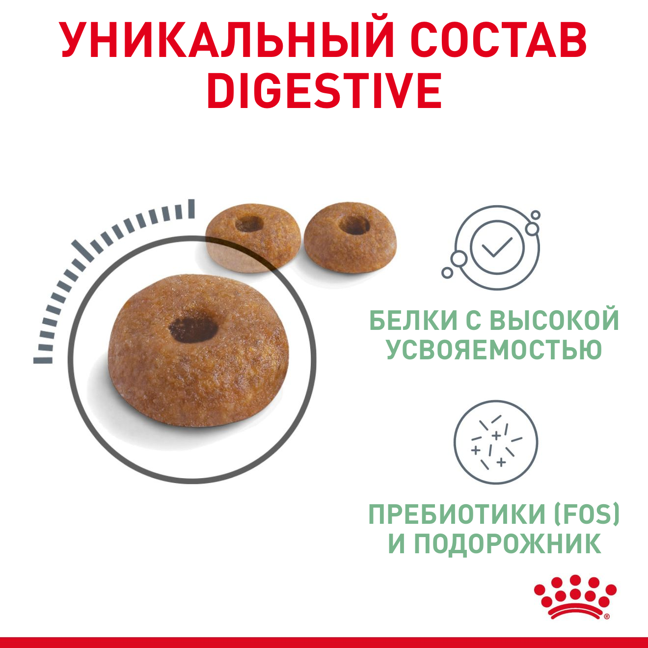 Digestive_Care_BLR