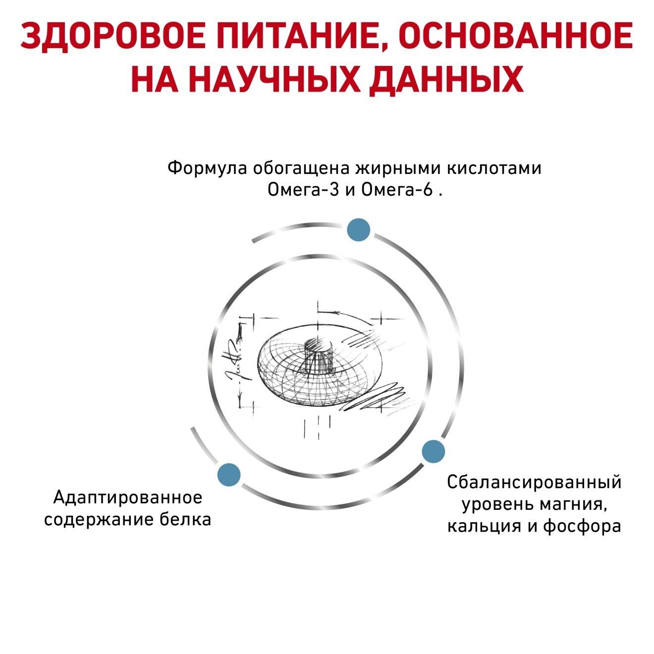 RU_277657_kibble_481