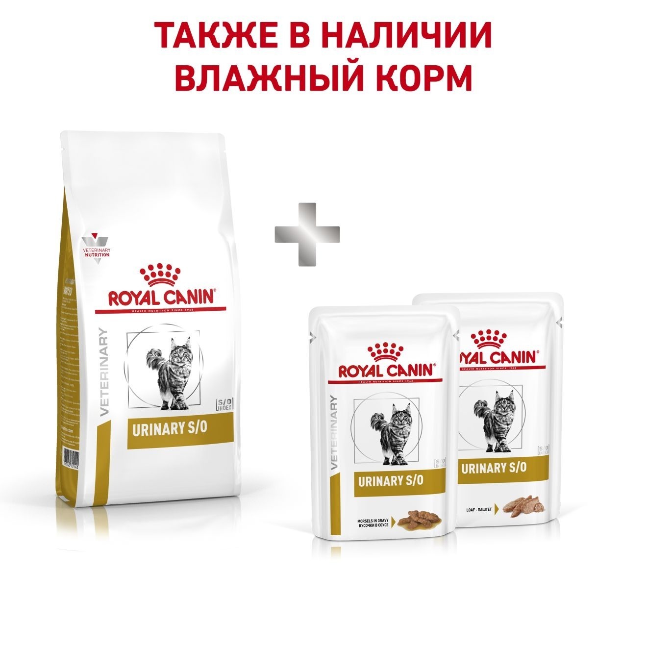 ru-271007-other-4818 (1)