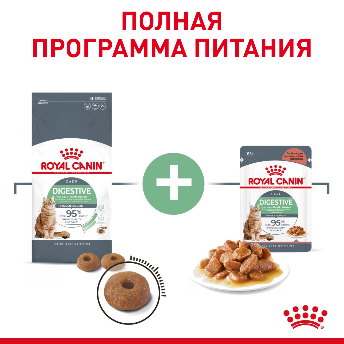 Digestive_Care_BLR_2