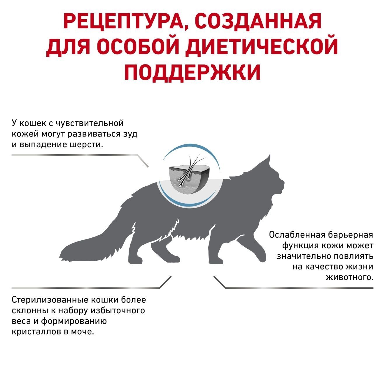 ru-277657-other-4814 (3)
