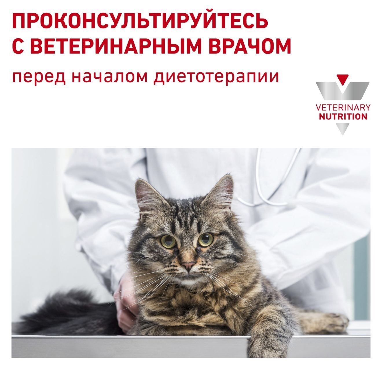 ru-482022-hero-48137